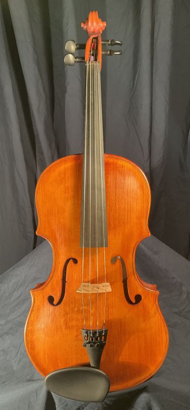 Laughlin Viola